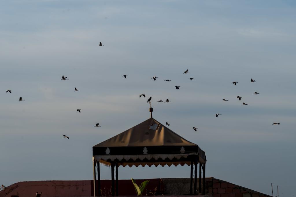 Riad Hiba Meknès Exteriér fotografie